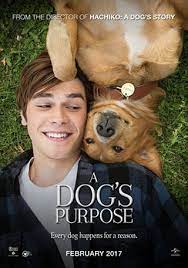We all need some romantic time with our partners and what's a better way to do it than sit at home and watch romantic movies. Movies To Watch With Your Best Friend Allawn