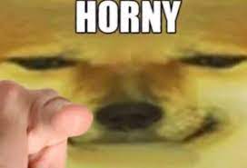 NSFW] These doge memes are so funny : rdankmemes