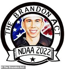 Dozens of Navy officers reveal suicidal thoughts to Brandon Caserta charity  after 10 sailors died