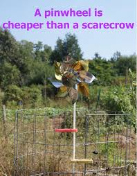 Plants with pungent smells, prickly textures, or fuzzy exteriors tend to bother animals like osage orange trees. How To Keep Birds Out Of Your Vegetable Garden Vegetable Garden Planner Organic Vegetable Garden Garden Pests