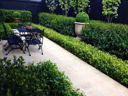 Andrew Stark Garden Design Mass Plantings Of Fragrant Gardenias Star Jasmine Border Tall Hedges Of Backyard Landscaping Designs Garden Hedges Garden Design