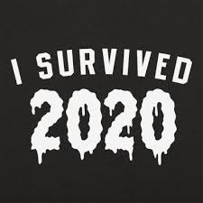 I Survived 2020 T Shirt Funny Newest Pop Culture Sarcastic Styles Socially Distant Tee I Survived Sarcastic Shirts Funny New
