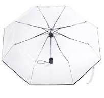 Ultra Clear Folding Umbrella