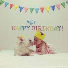 ハーフバースデーのお祝いをしました ハーフバースデー 新生児の写真 バースデー