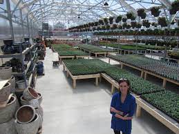 1206 mendota st, madison, wi 53714. Klein S Floral Goes Big And Bright Along East Washington Avenue Business News Madison Com