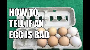 A bad egg will have a foul smell even after it is cooked. How To Tell If An Egg Is Bad Youtube
