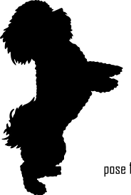 Pin By Mirta Beatriz Gonzalez On All About Dogs Cats Dog Silhouette Bichon Bichon Frise