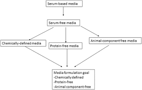 In research labs, fetal bovine serum (fbs) is commonly added to cell culture media at a concentration. Serum And Protein Free Media Springerlink