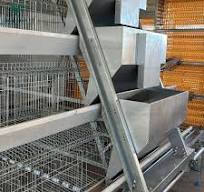 Modern Design New Type Automatic Battery Layer Chicken Cage Hot Dipped  Galvanized Finish 15-20 Year Service Life for