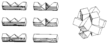Check spelling or type a new query. Chapter 7 The Diagonal Burr