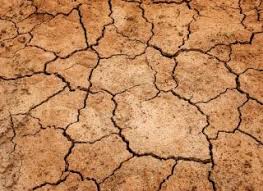 Chacun avec la promesse de faire baisser sa production de gaz à effet de serre. Quelles Sont Les Consequences Du Changement Climatique Ecoconso