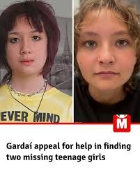 Dublin Live explored this little gem in North Co Dublin