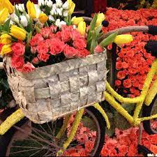This Flower Covered Bicycle Is On The City Of Torrance Rose Parade Float In Pasadena Photo Taken With My Iphone No Ed Rose Parade Parade Float Bicycle Decor