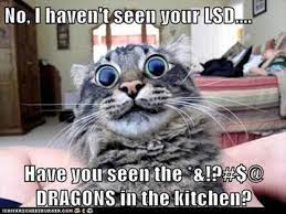 Funniest Animal Memes Of The Day That Are Extremely Hilarious 21 Pics Page 2 Of 2 Awed Owl Cat Memes Funny Animal Memes Funny Pictures