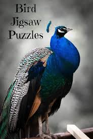 Check spelling or type a new query. Beautiful Bird Jigsaw Puzzles For Bird Lovers