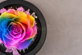 As the free account, you can download for free with some limits. Articial Flower Photos Free Royalty Free Stock Photos From Dreamstime