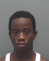 Traffic Stop Yields Multiple Vehicle Burglary Arrests On November 7, 2018,  a Lee County Sheriff's Office deputy performed a traffic stop in the area  of Gunnery Road and Varsity Lakes Drive, Lehigh