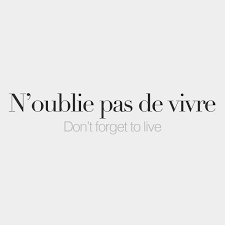 Pin By Chomikuje On Francais French Words Quotes French Tattoo Quotes French Quotes