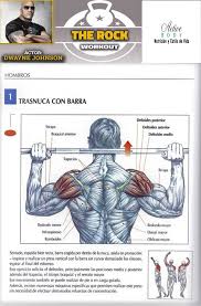 Los Mejores Ejercicios Para Desarrollar Los Hombros