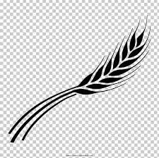 Barley Drawing Line Art Black And White Coloring Book Png Clipart Ausmalbild Barley Beak Bird Black Download 1,100+ royalty free barley wreath vector images. barley drawing line art black and white