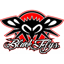 Pegatinas Black Flys