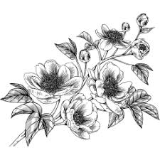 41 tattoo vorlagen und zeichnungen (kostenlos zum ausdrucken). Vorlagen Fur Tattoos Mit Blumen Z B Lilie Oder Orchidee