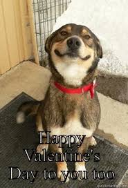 Send valentine's day greetings to the special people in your life with blue mountain ecards. Dog Valentine Memes