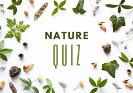 We're about to find out if you know all about greek gods, green eggs and ham, and zach galifianakis. Nature Quiz 50 Nature Quiz Questions Answers