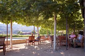 Alpha Omega Winery Acla In 2020 Landscape Elements Landscape Architecture Winery