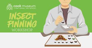 At defense pest solutions, we are dedicated to bringing you the best quality pest solution in north alabama, provided by our highly trained and experienced pest control professionals. Cook Museum Of Natural Science Life Is Amazing