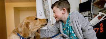 Moreover, this therapeutic method can help heal and rehabilitate patients that are suffering from acute or chronic diseases. Facility Dogs And Animal Assisted Therapy Doernbecher Children S Hospital Ohsu