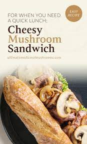 For When You Need A Quick Lunch Cheesy Mushroom Sandwich Recipe Recipe Mushroom Recipes Healthy Mushroom Sandwich Recipes Mushroom Sandwich