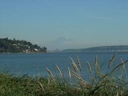 West Point Treatment Plant Report Due In January Bellevue Reporter