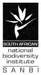 Image result for Wahlenbergia upembensis