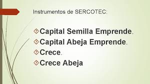 Capital abeja 2021 para cerca de 3 mil emprendedoras. Emprendimiento Y Empleabilidad Profesora Ester Rojas Redes De