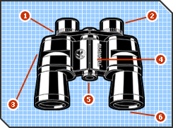 Binoculars 101 How To Choose The Best Binoculars