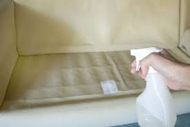 How To Spray Furniture For Lice Ehow Head Louse Kill Lice Lice Spray