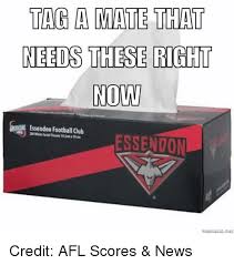 Former essendon captain jobe watson has spent the last year in hiatus working as a barista in a new york cafe. Tag A Mate That Needs These Right Now Essendon Football Club Essendon Wemanicne Credit Afl Scores News Club Meme On Me Me