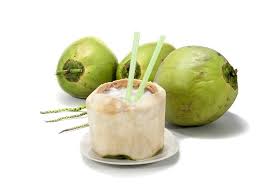 Hasil gambar untuk foto Kelapa