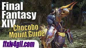 Dispatch brood ziz with your companion. Ffxiv How To Get A Chocobo Mount And Make It Your Companion Ffxiv4gil Com
