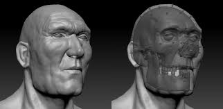 Survive the Jive — More images of the new facial reconstruction of a...