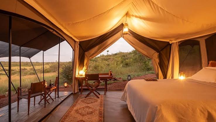 Conservancy camps: Smaller bed counts mean fewer vehicles on the land and a significantly quieter wildlife experience., AI generated