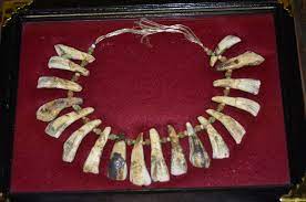 Native American Buffalo Tooth Necklace Tribal Jewelry Indian Artifacts Tooth Necklace