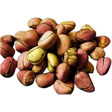 Image result for Cola clavata