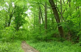 În aprilie, temperaturile medii ale aerului vor fi apropiate de normal în regiunile sudice şi estice şi se vor situa sub mediile climatologice în restul ţării. Cum Va Fi Vremea In Luna Mai 2021 Prognoza Meteo Pentru UrmÄtoarele 4 SÄptÄmani Ziarul Unirea