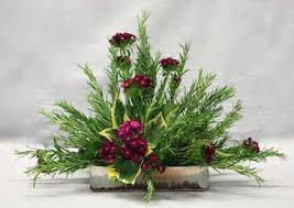 Parfum De Mediterranee Feuille De Lierre Feuillage Persistant Fleurs De Saison