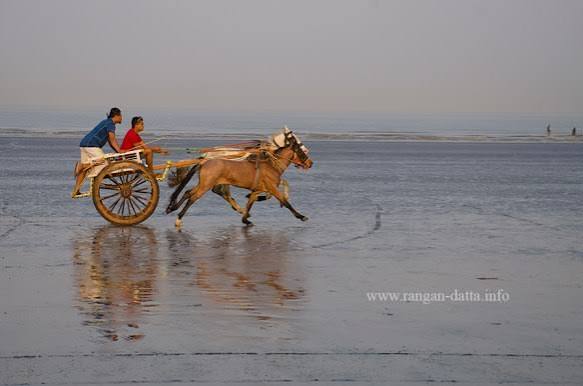 A morning in Gorai Beach, north western Mumbai | Rangan Datta