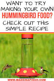 Try Making Homemade Hummingbird Food It S Easy Made In A Hummingbird Food Backyard Diy Projects Homemade Hummingbird Food