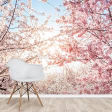 Spring wind rips cherry blossom tree. Cherry Blossom Sky Wallpaper Wallsauce Au