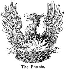 #pencildrawing #drawingtutorial #phoenixtoday we are giving you the mythical bird which rise from the ashes, the fire bird phoenix. What Is Tibetan Pulsing Analogy Of The Phoenix